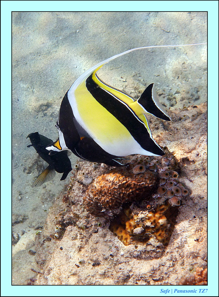 2012 - 07 - Gili - 73